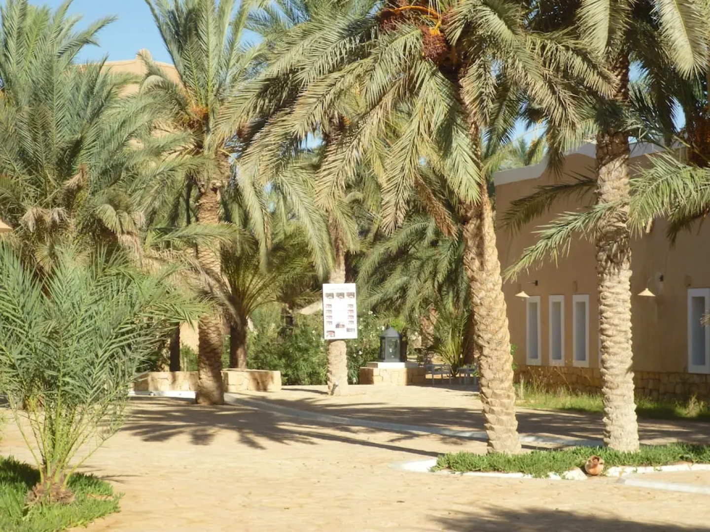 Campement Yadis Ksar Ghilane