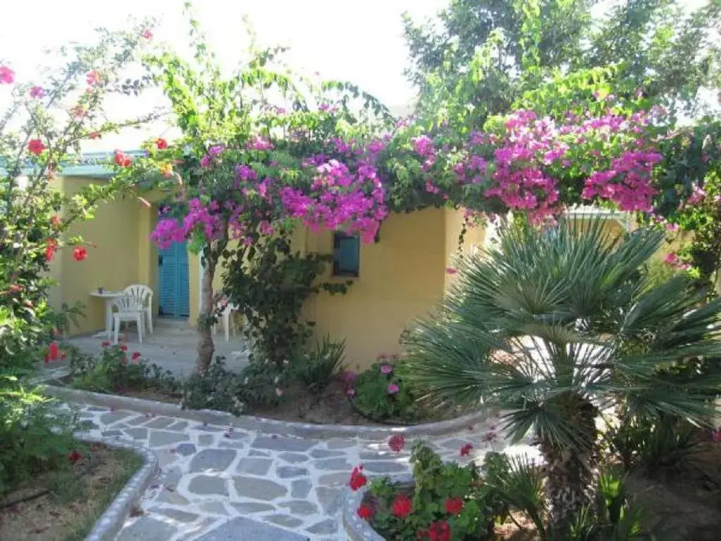 Surfing Beach Village