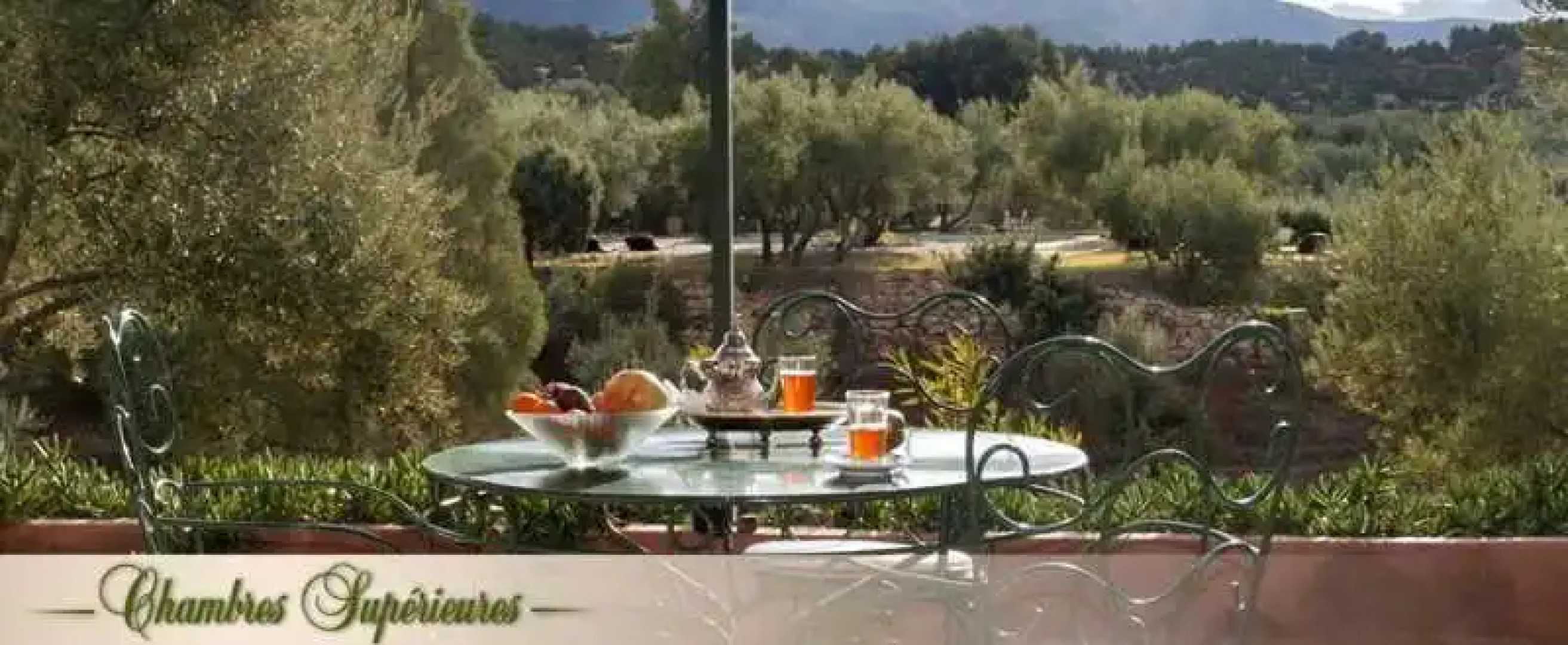 L'Oliveraie de Marigha