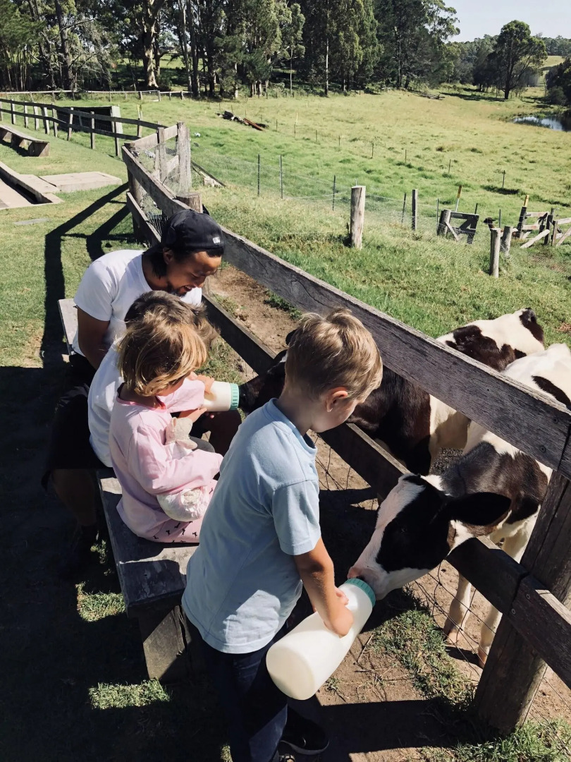 Bodalla Dairy Shed Guest Rooms