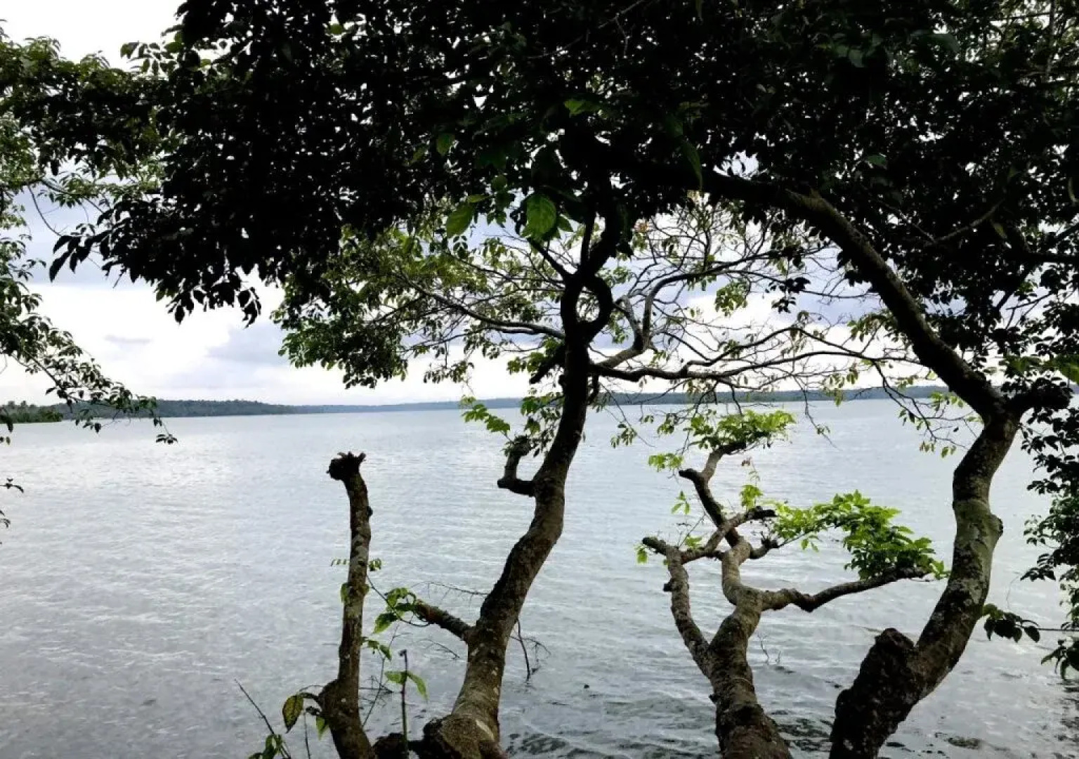 Lake n River Resort  Munroe Island