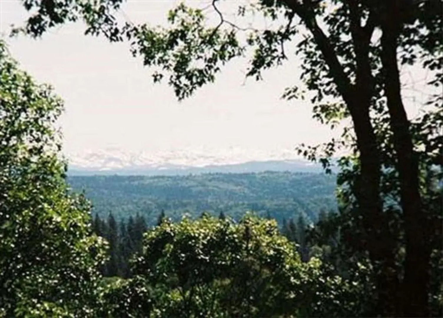 Sierra Sun Cloud Inn - Colfax