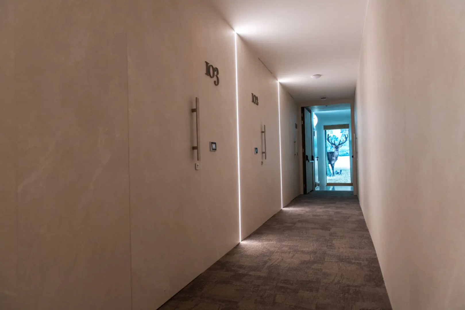 Hotel Chalet Al Foss