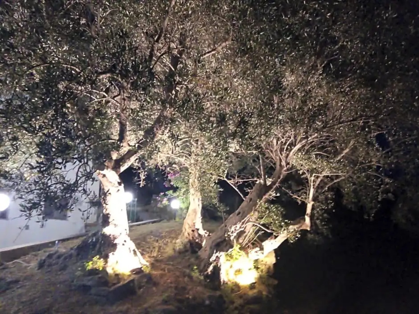 L'antica Quercia B&B