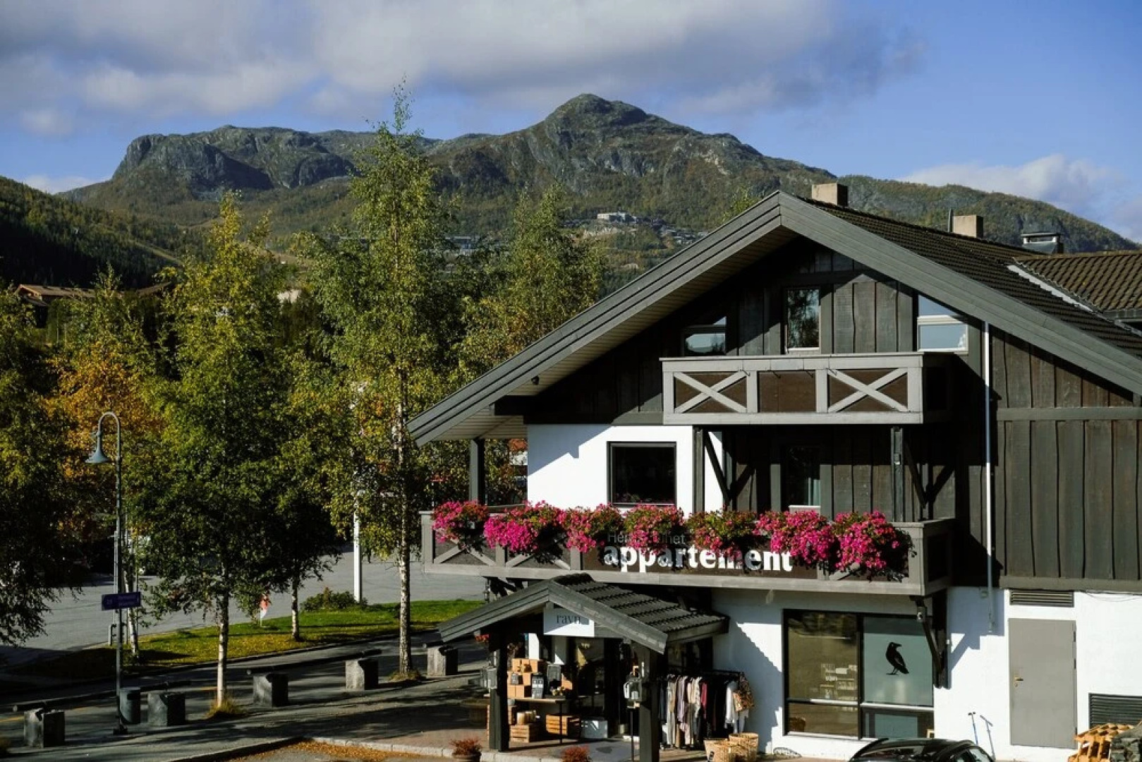 Hemsetunet Apartments