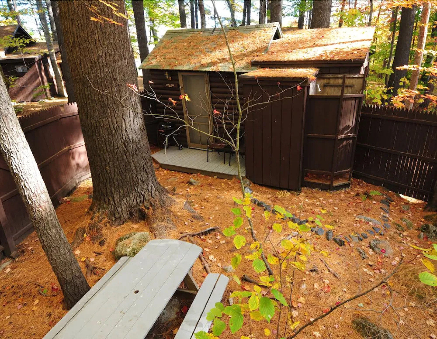 Big Moose Inn Cabins and Campground