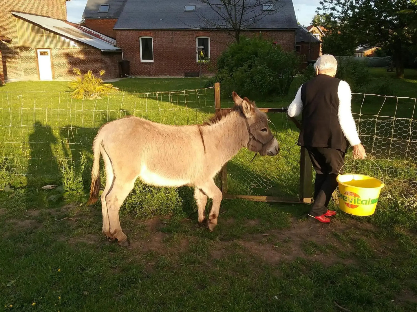 Chambre d'hôtes Coquelicot