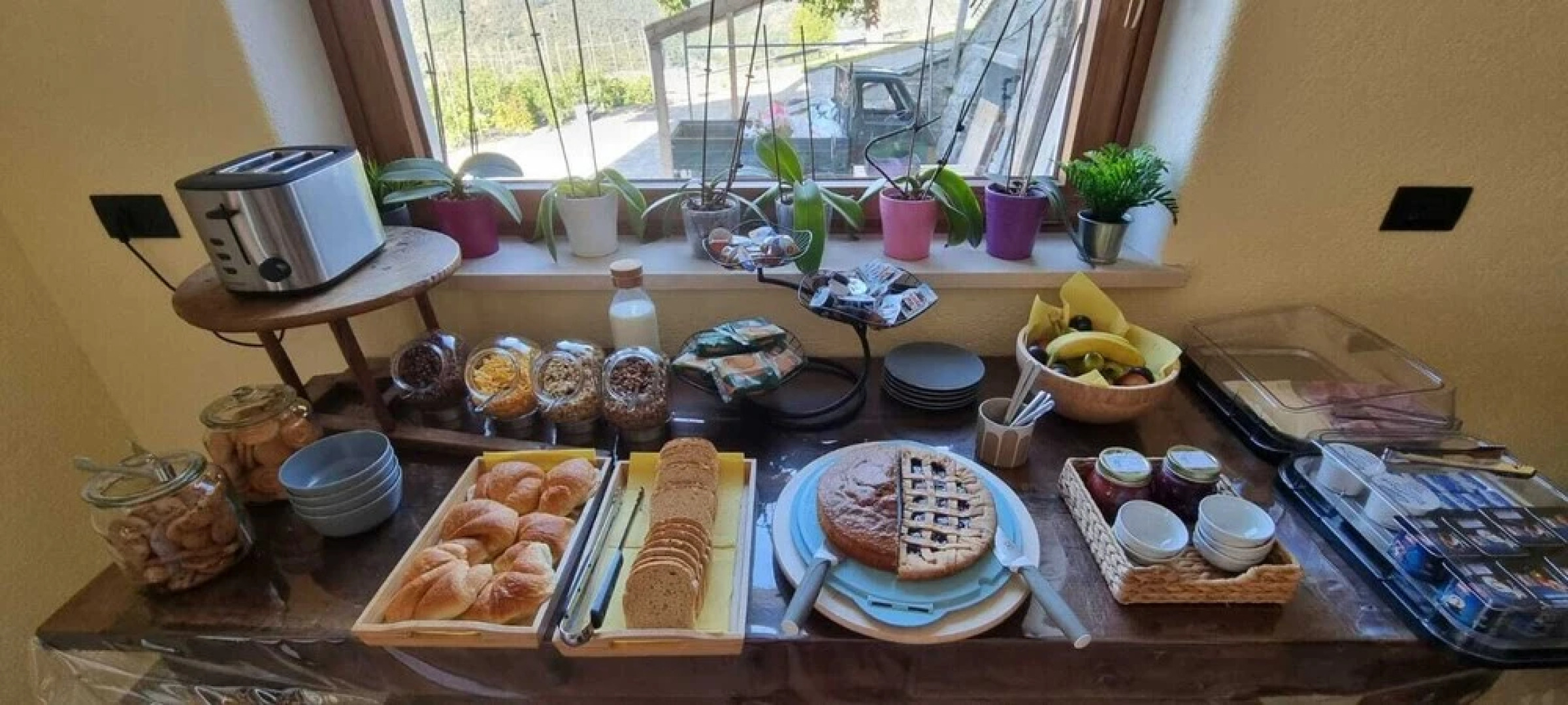 Lo Noyer Et Les Roses