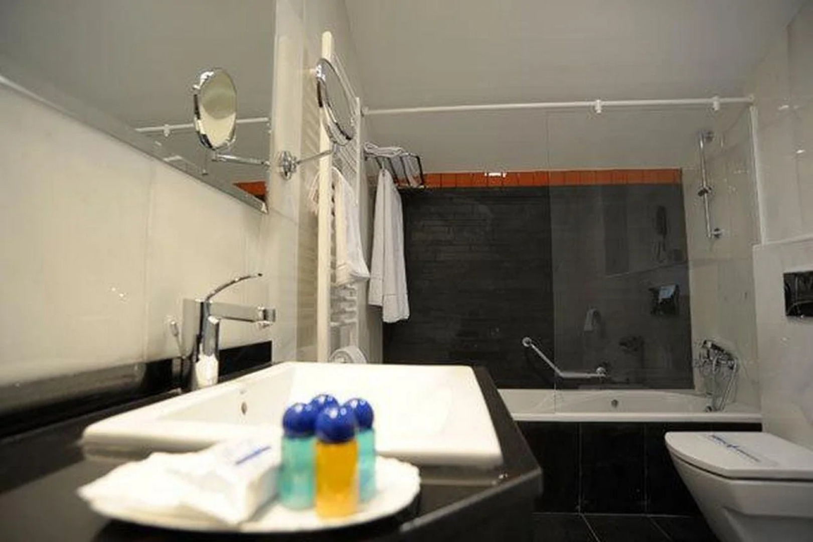 Hotel Alameda Centro