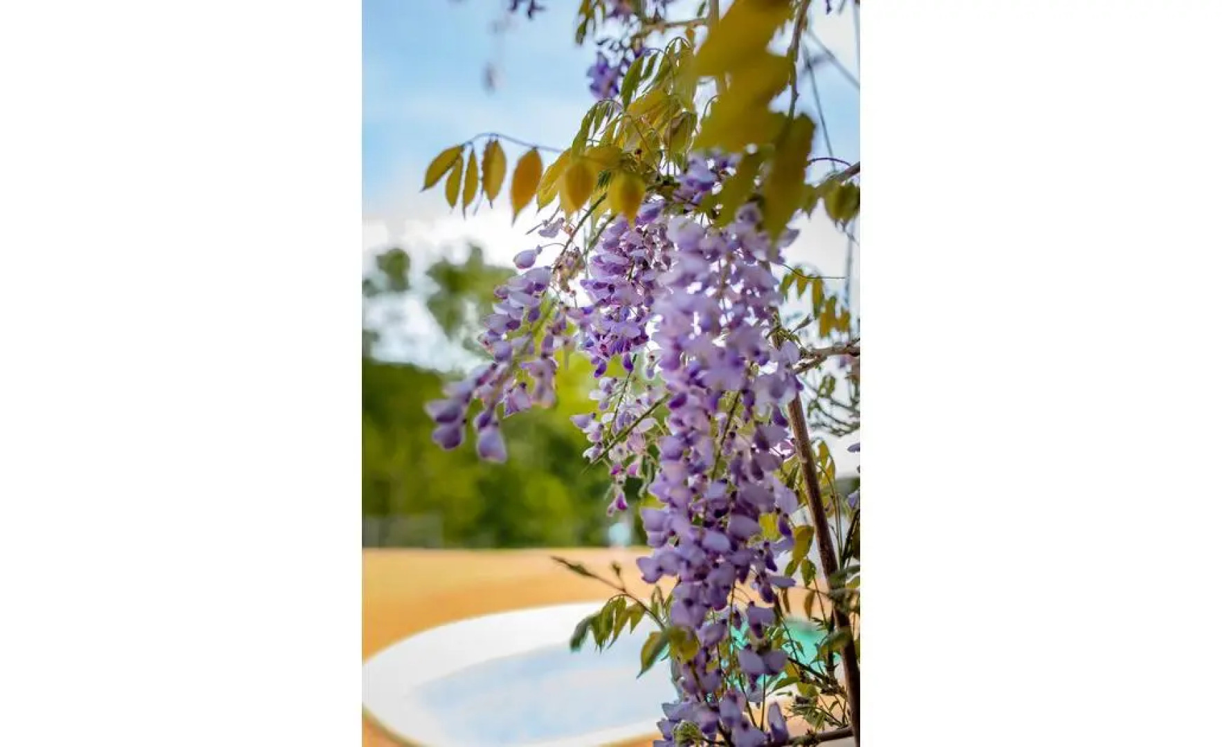 Шале Восточное