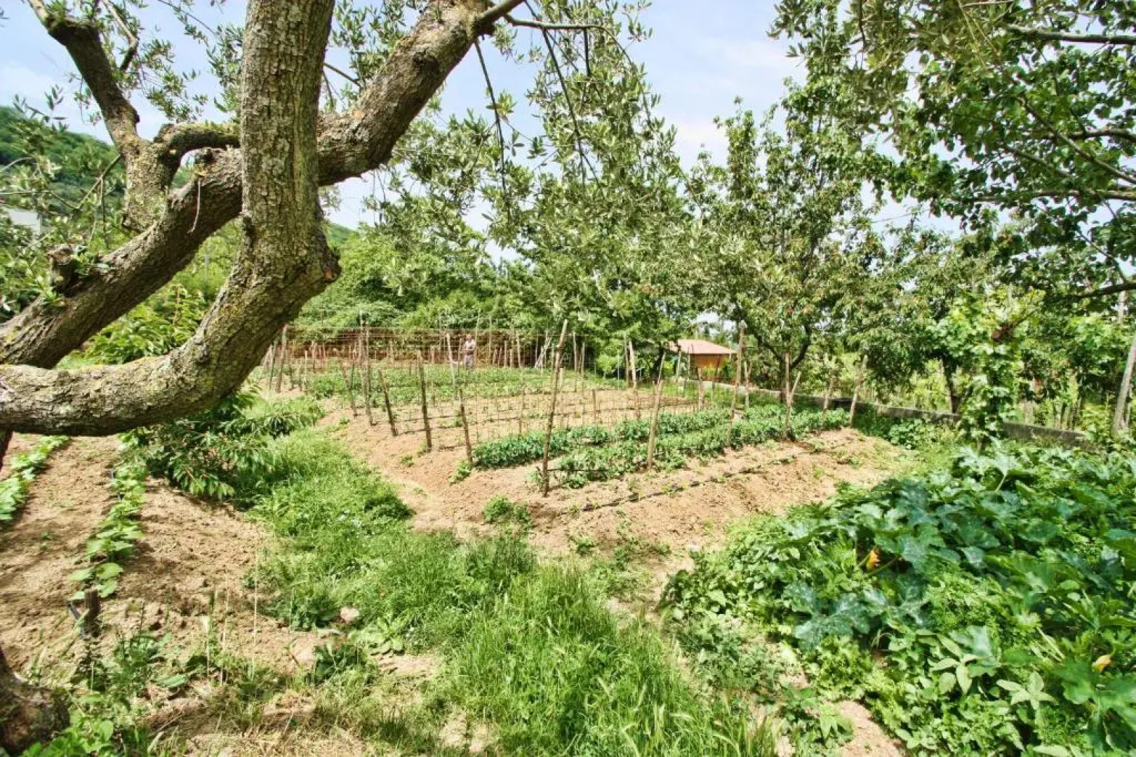 Agriturismo La Chiana