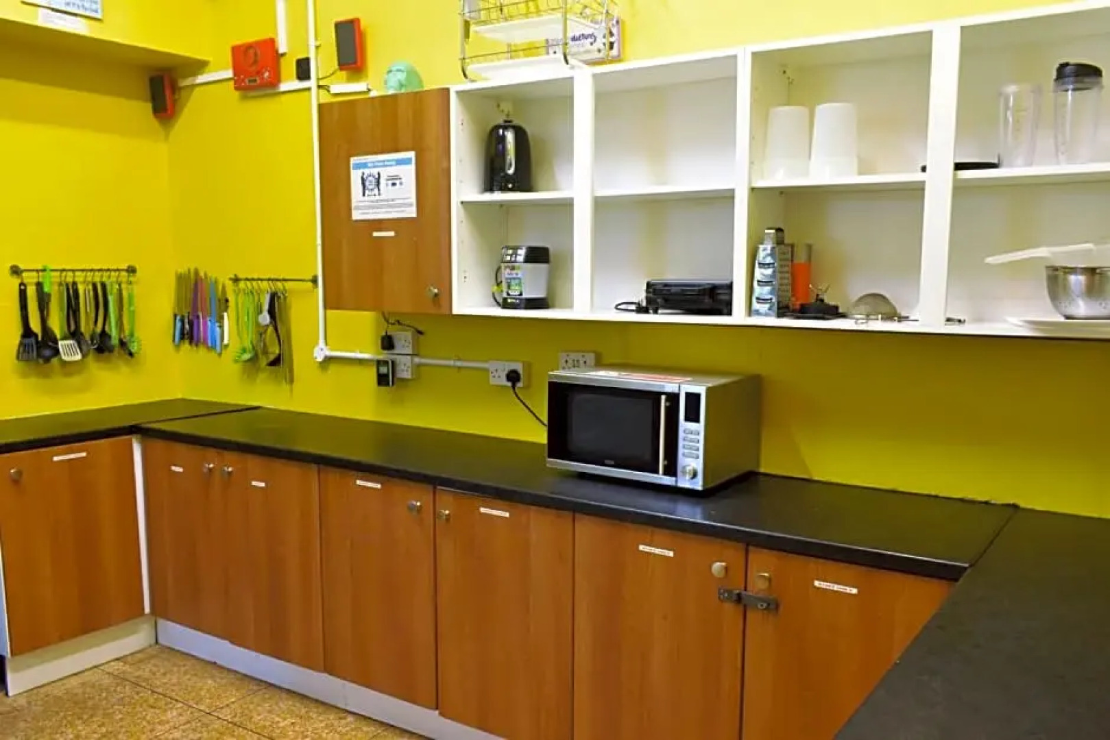 Paddys Palace Belfast