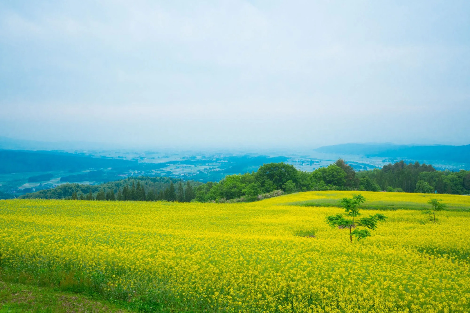 Aizu Kitakata  Atsushioonsen YAMAGATAYA