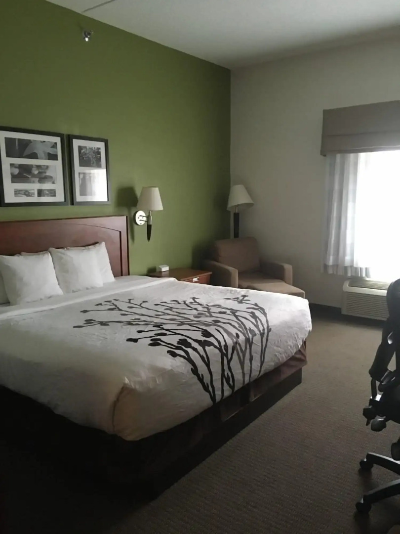 Sleep Inn & Suites Conference Center and Water Park