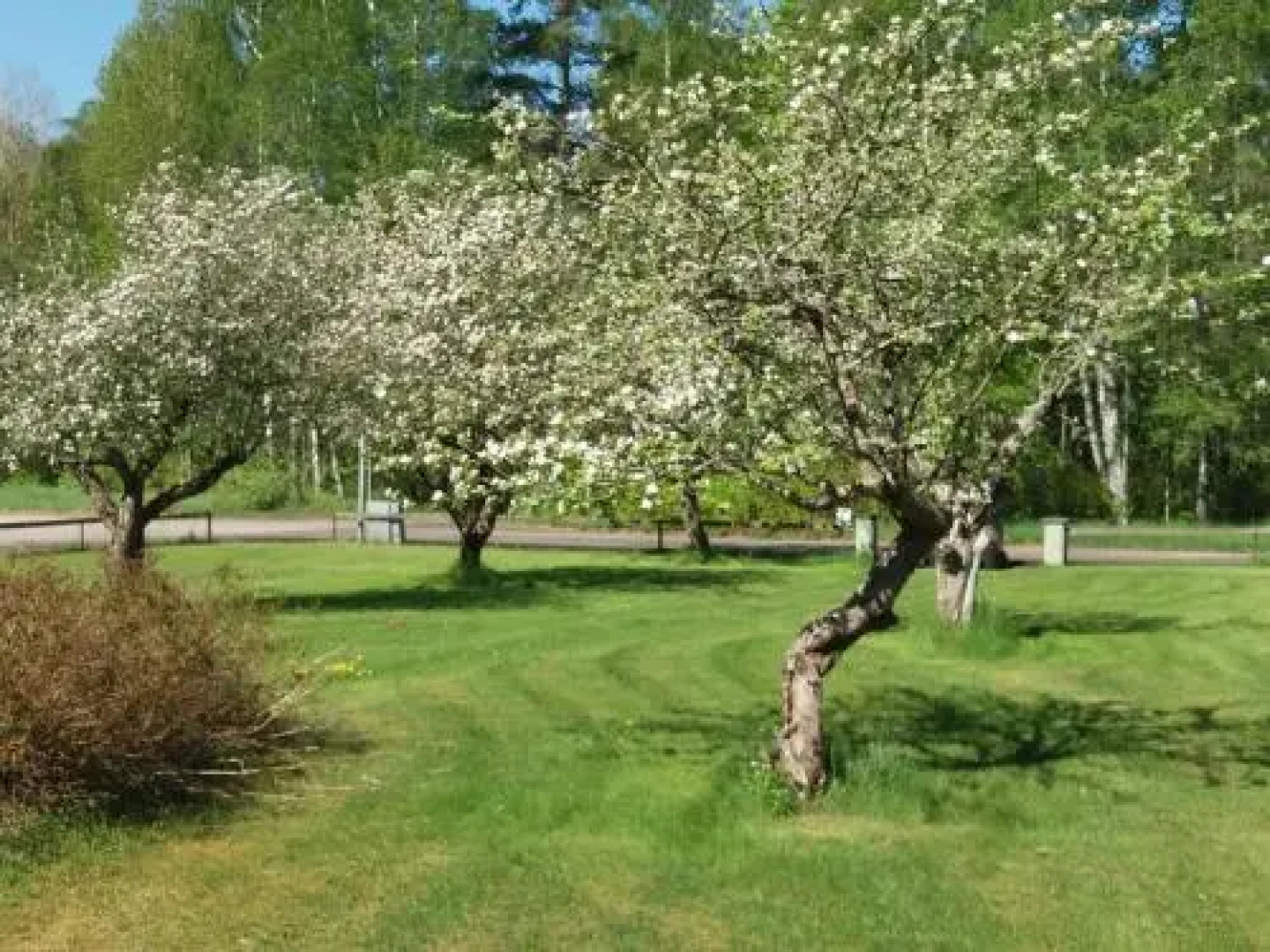 myBed&Breakfast myHostel Silverdalen-Lönneberga