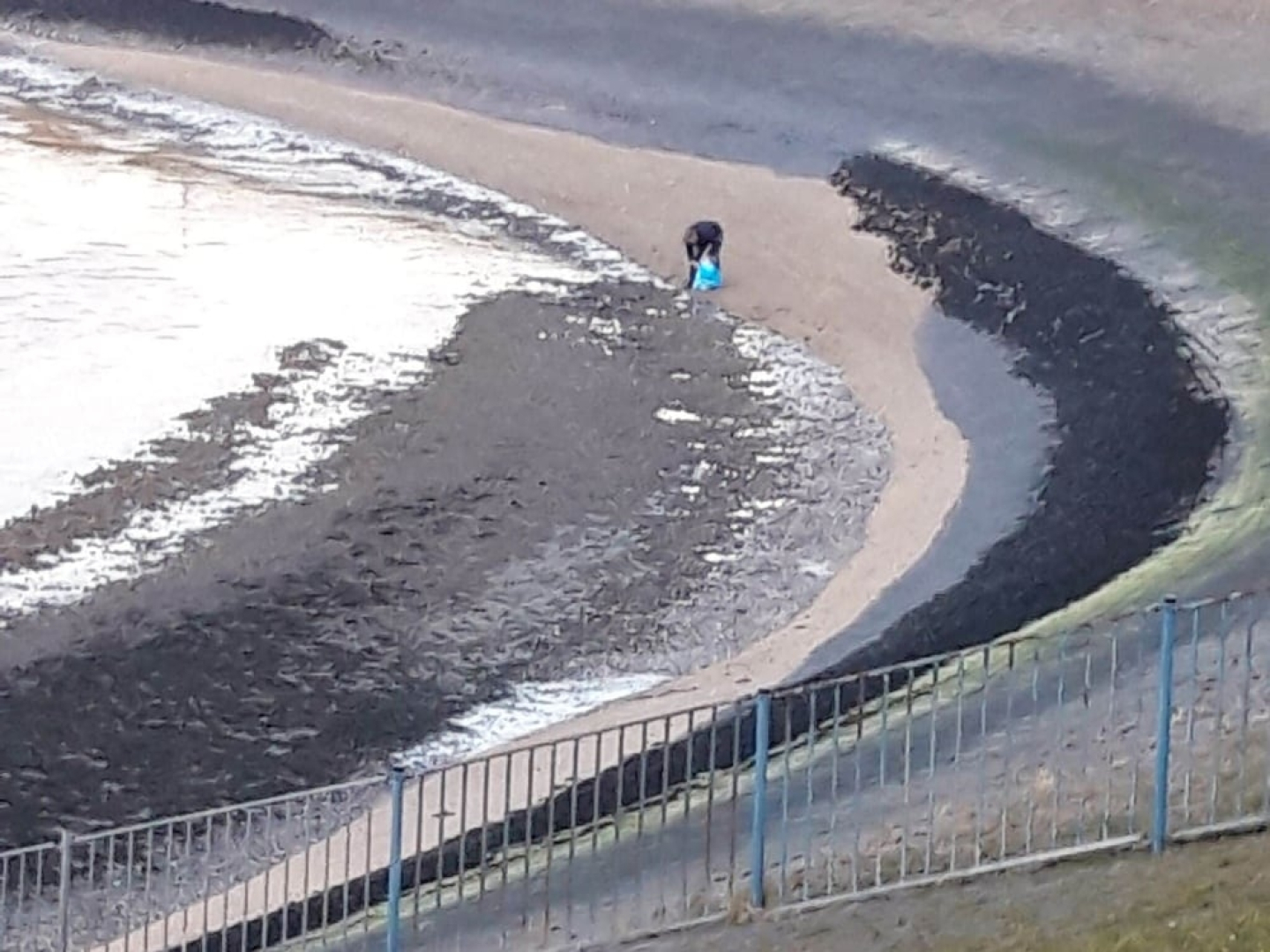 Cozy Holiday Home with Hot Tub in Lauwersoog by Lake