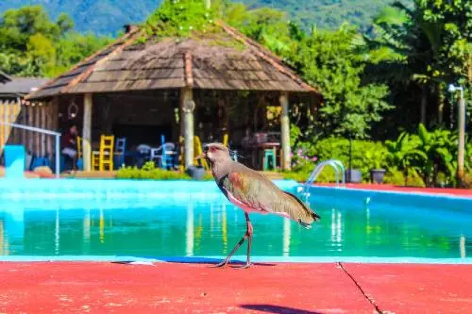 Pousada e Camping Nativos dos Canyons