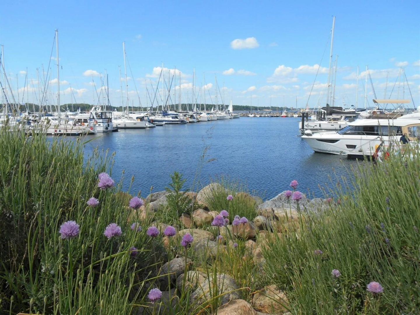 Ferienwohnung-Moltrecht-2