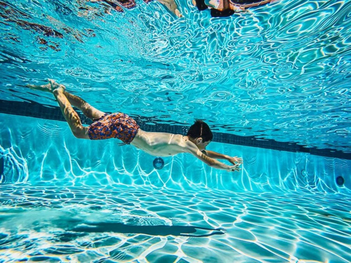 Treeloft Adventure in Nature for 4 People 8