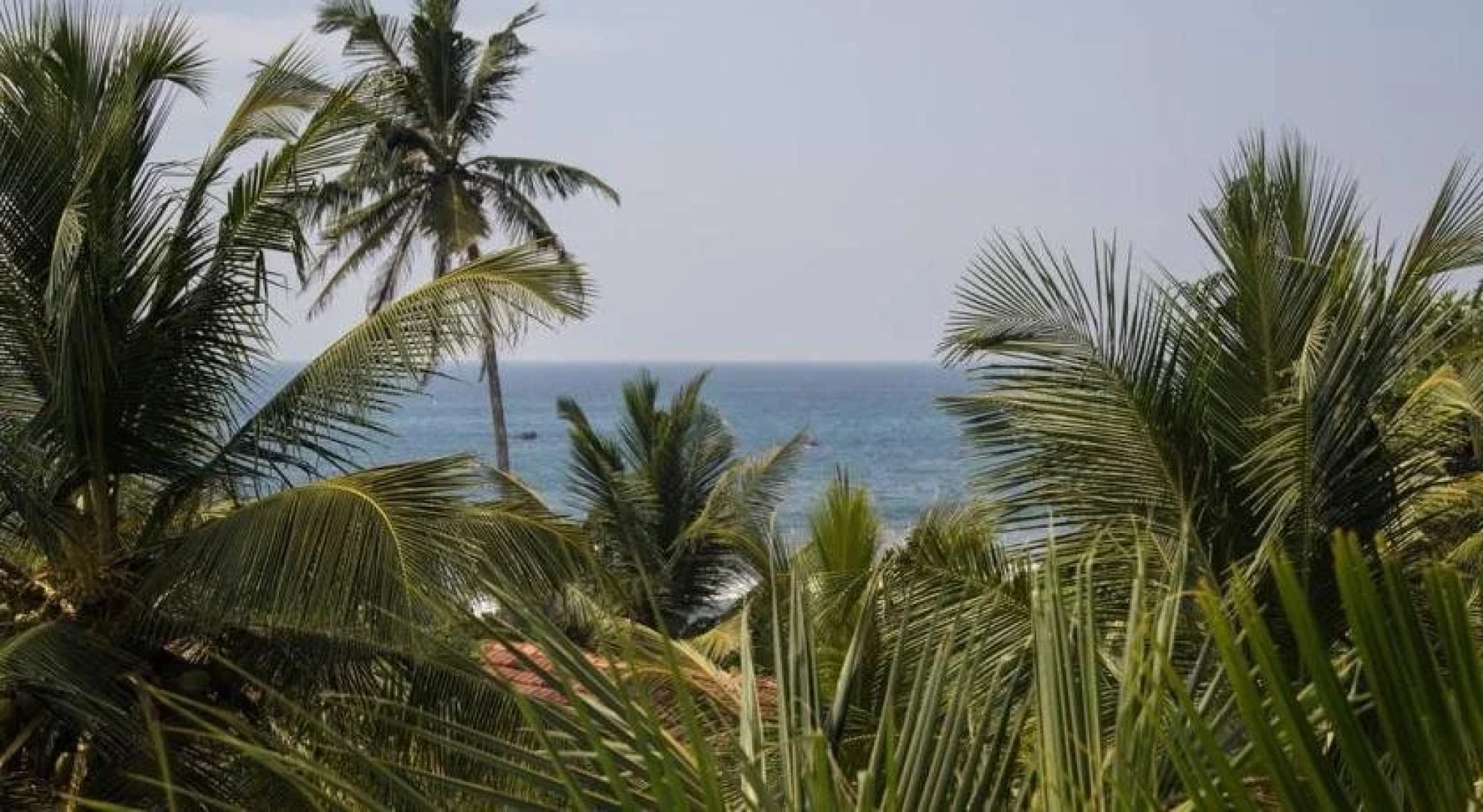 Sounds of Nature mini hotel