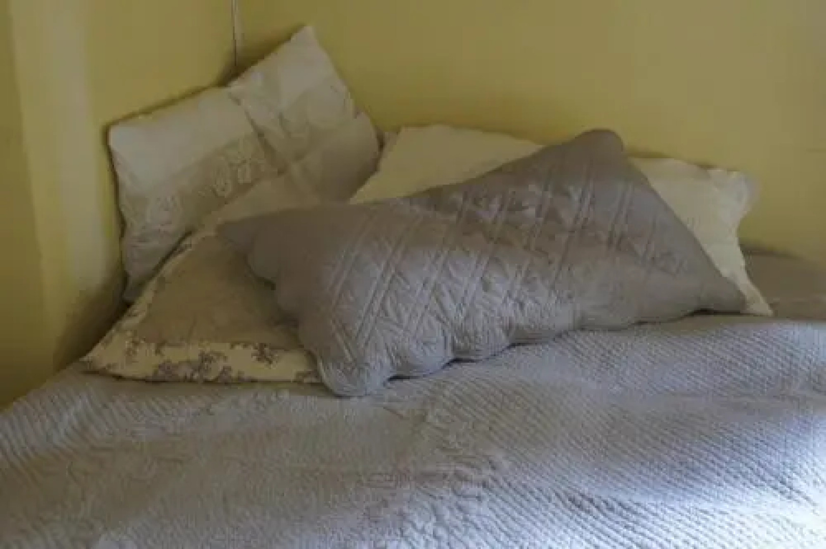 Alpaca Country House