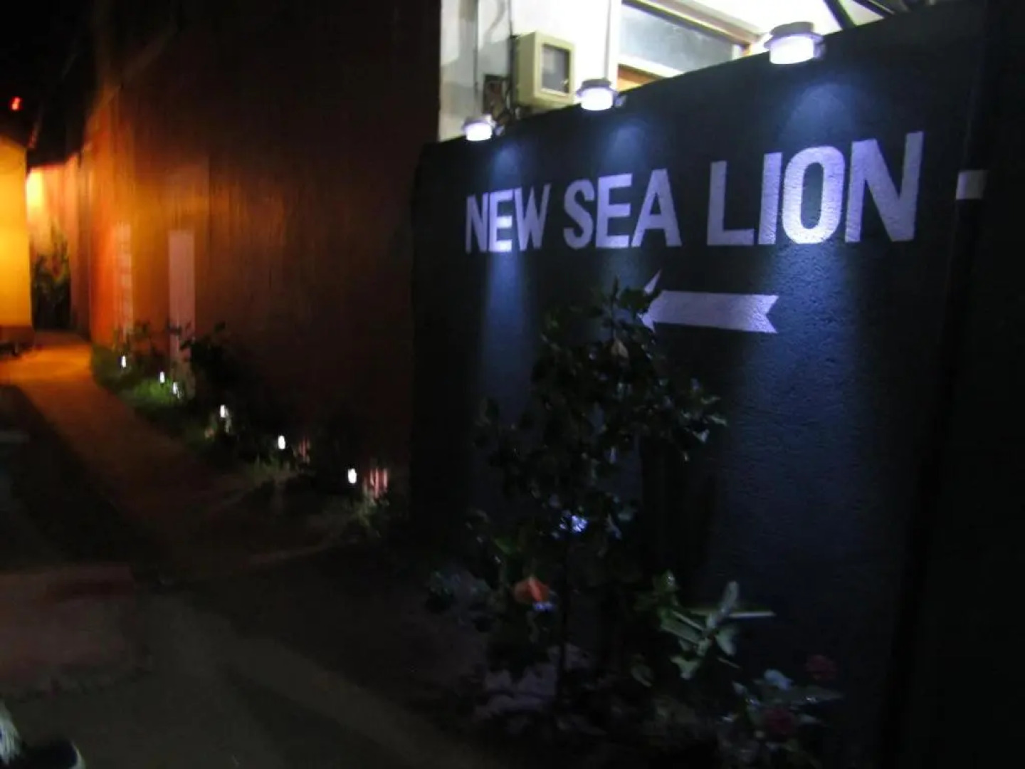 New sea lion guest house
