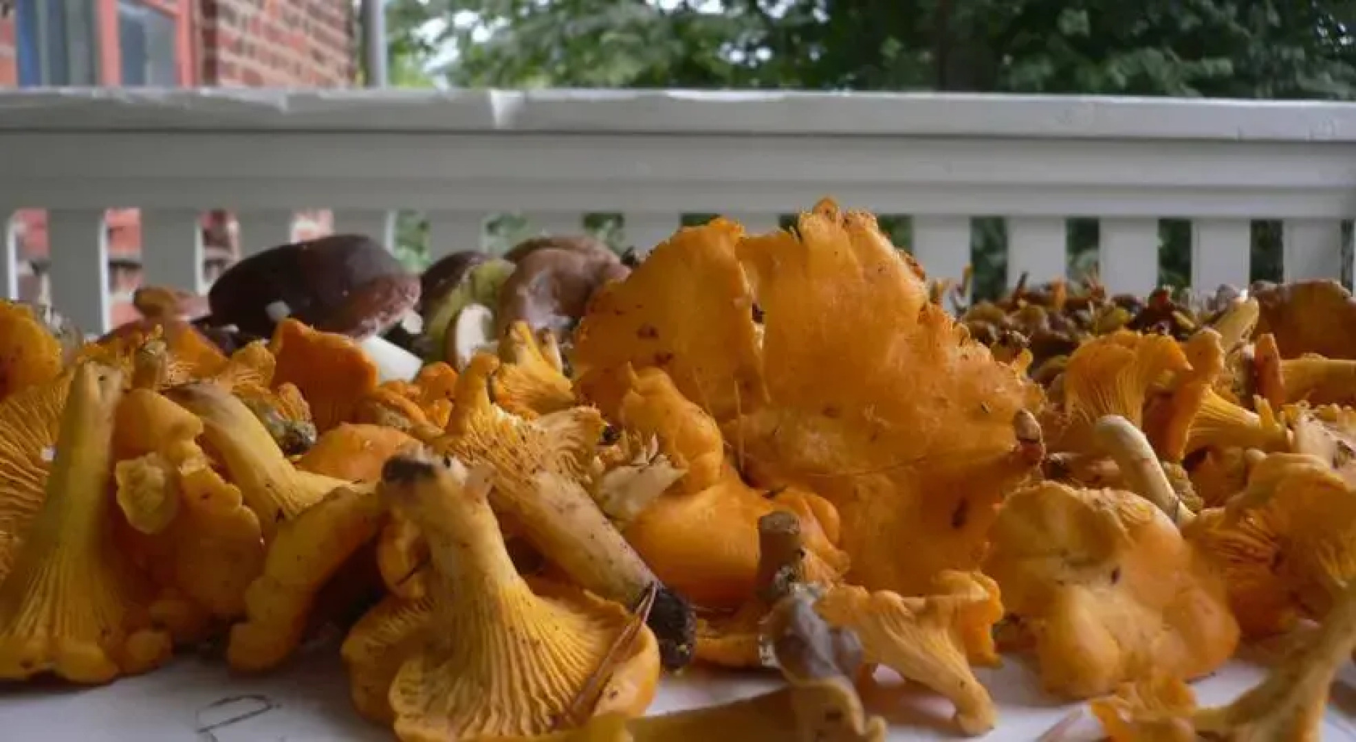 Bed and Breakfast Fiskars