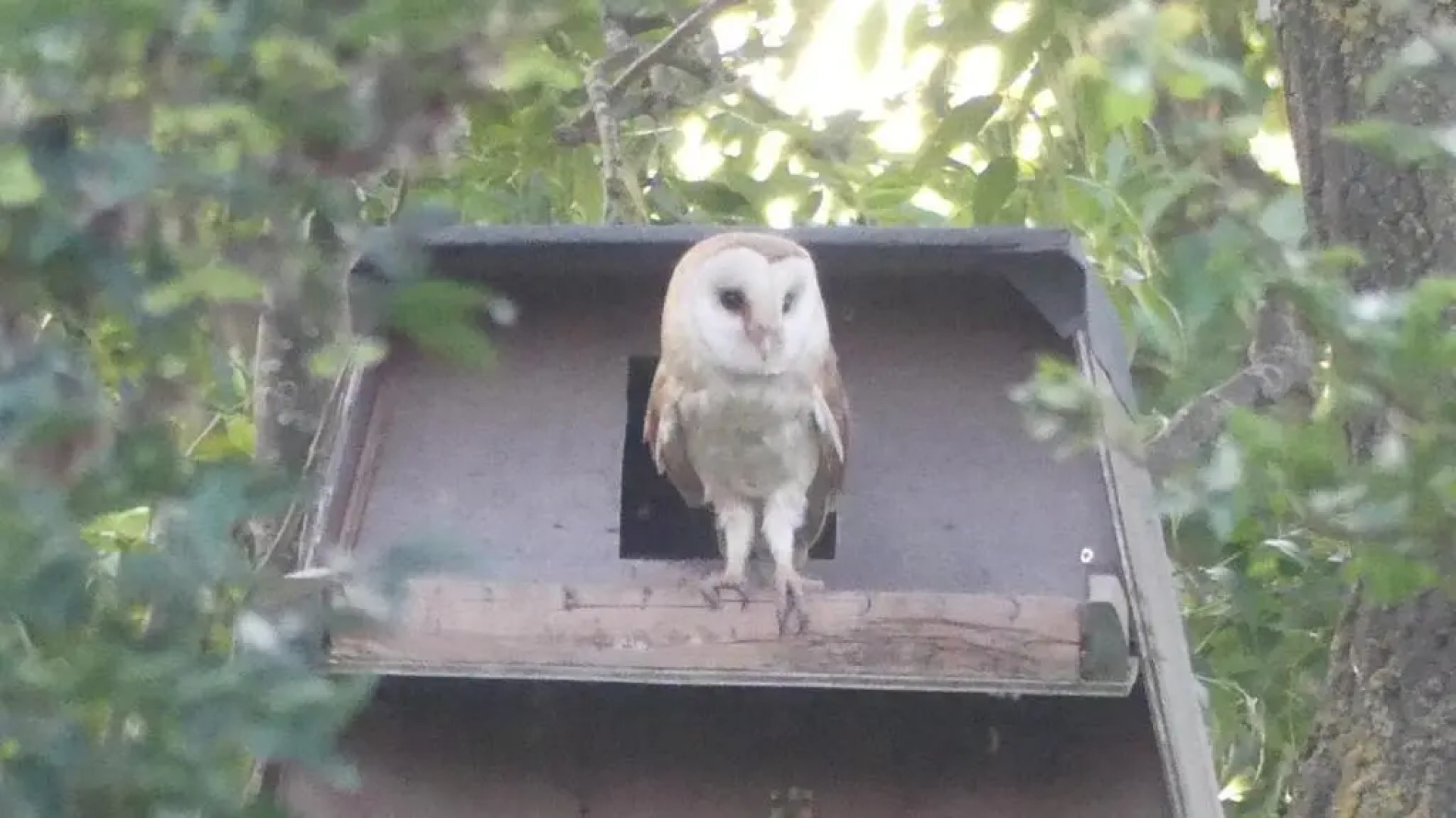The Oak Eco Barn Clematis Cottages Stamford