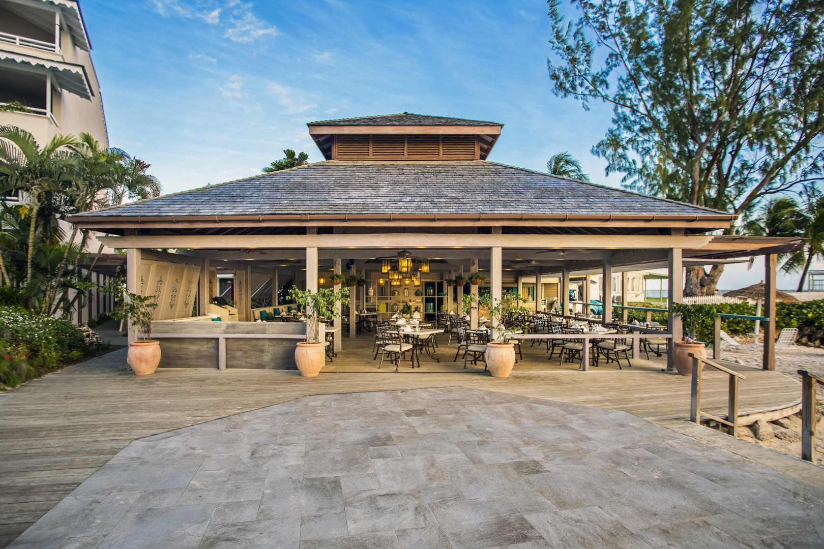 Bougainvillea Barbados