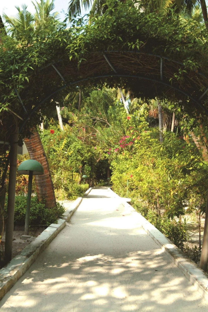 Курорт Biyadhoo Island