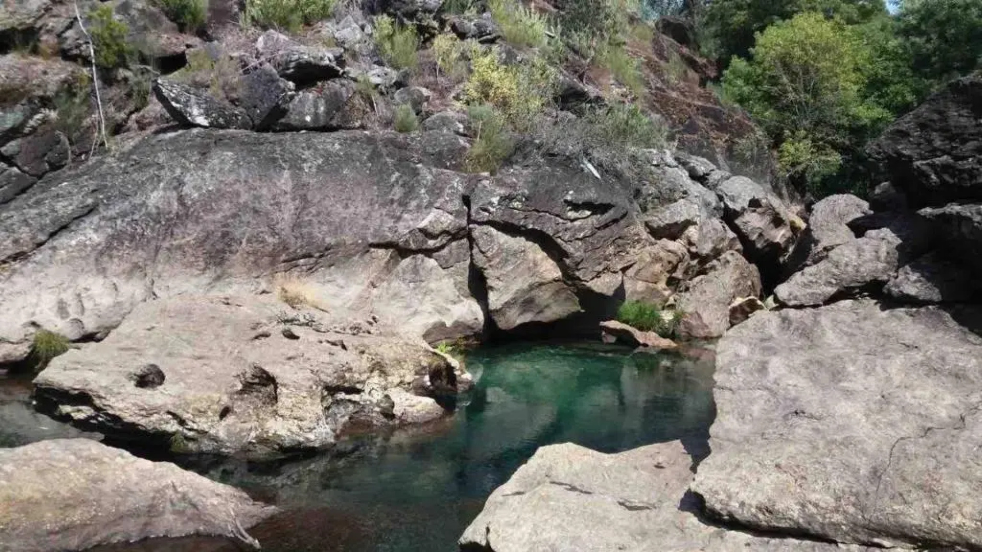 Forest House Casinha Do Carvalhal