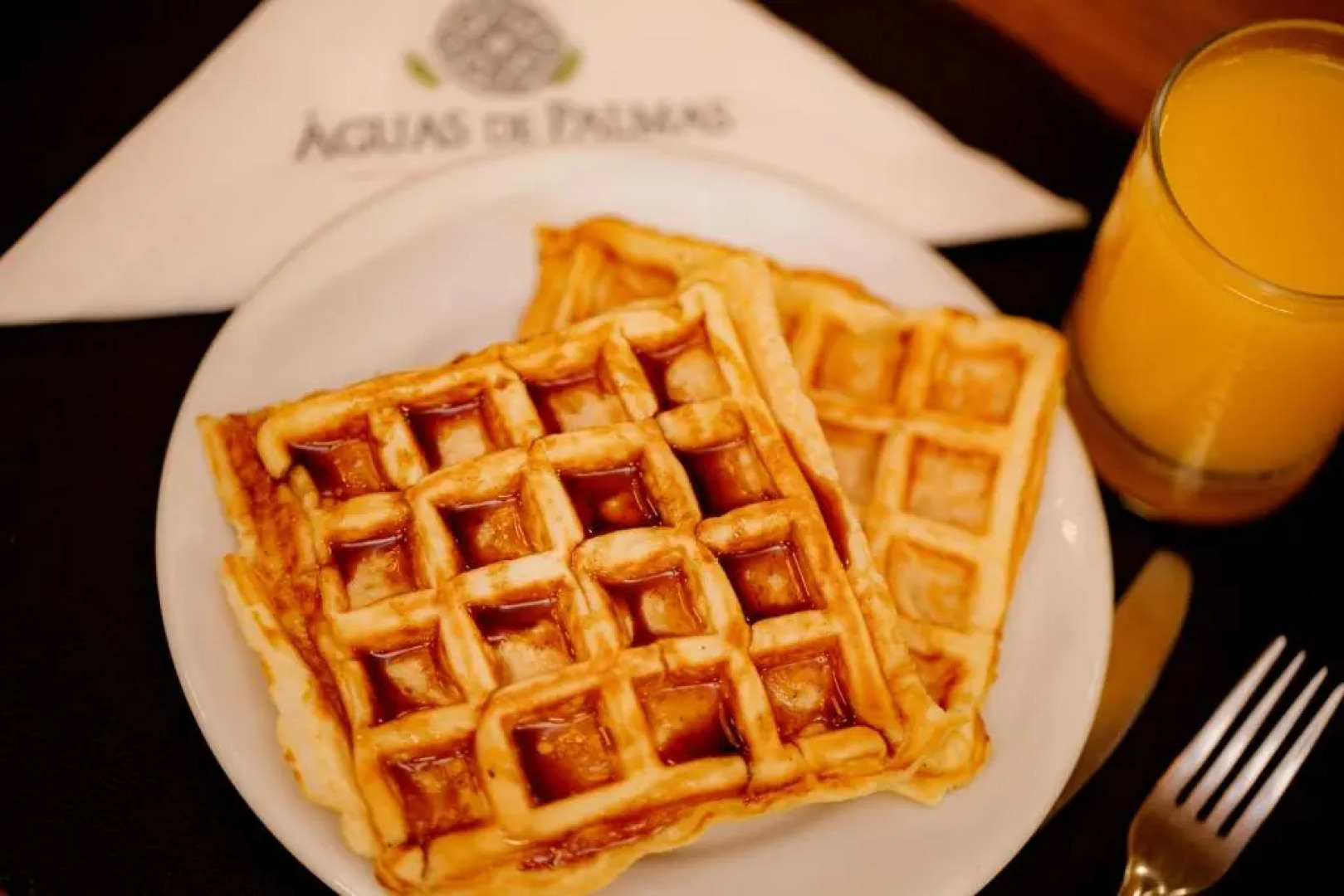 Águas de Palmas Resort