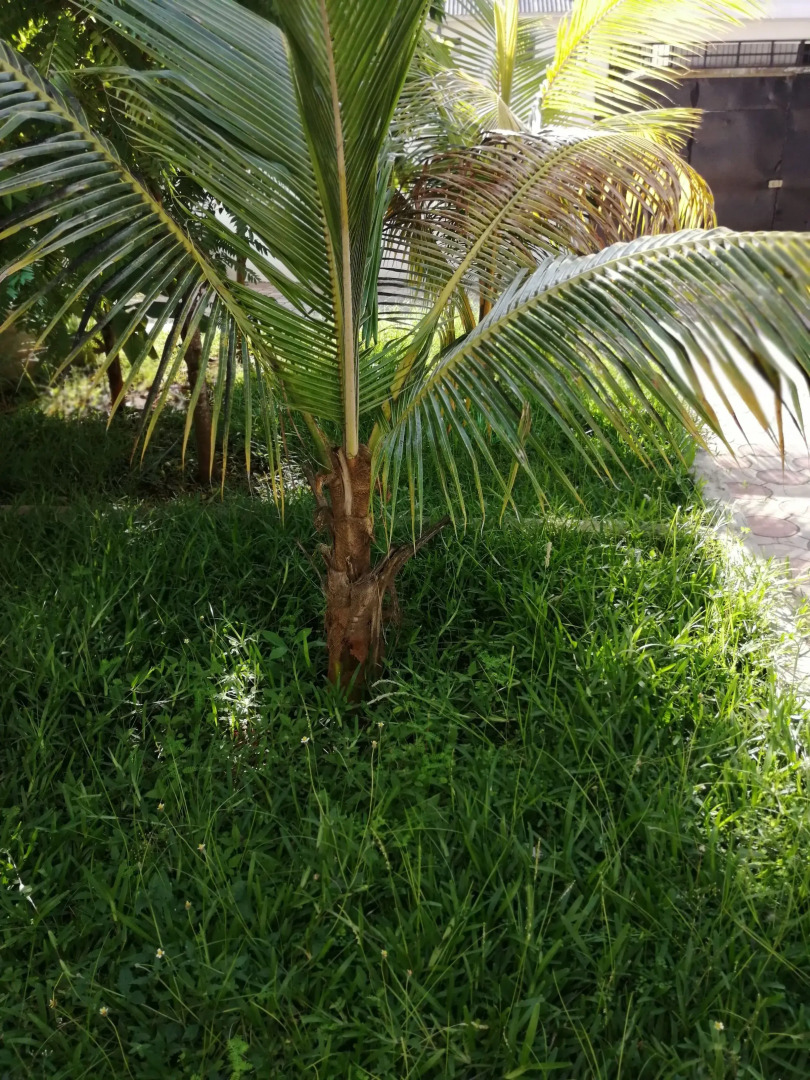 Salhiya Lodge - Hostel