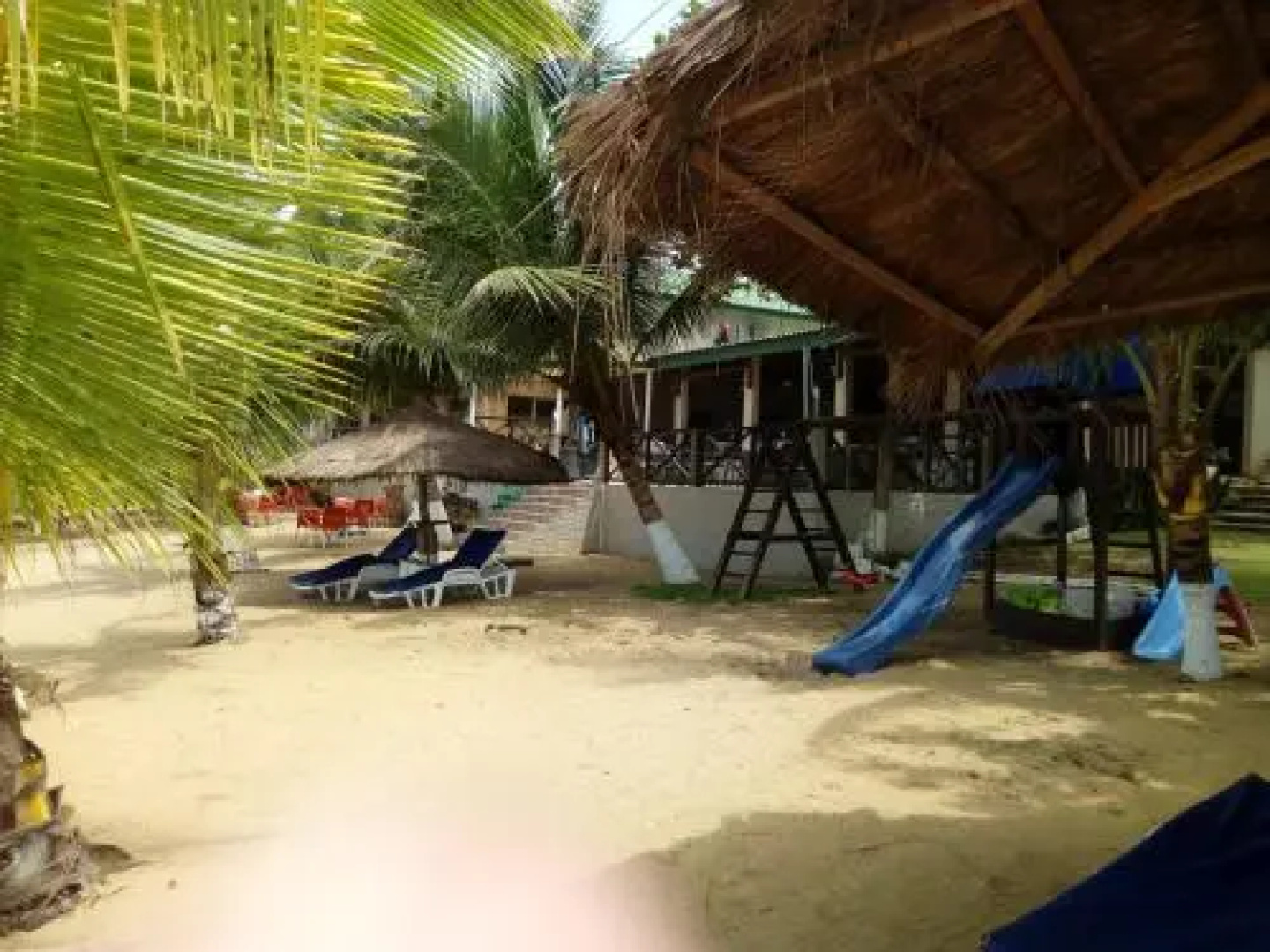 Hotel Palm Rock Beach