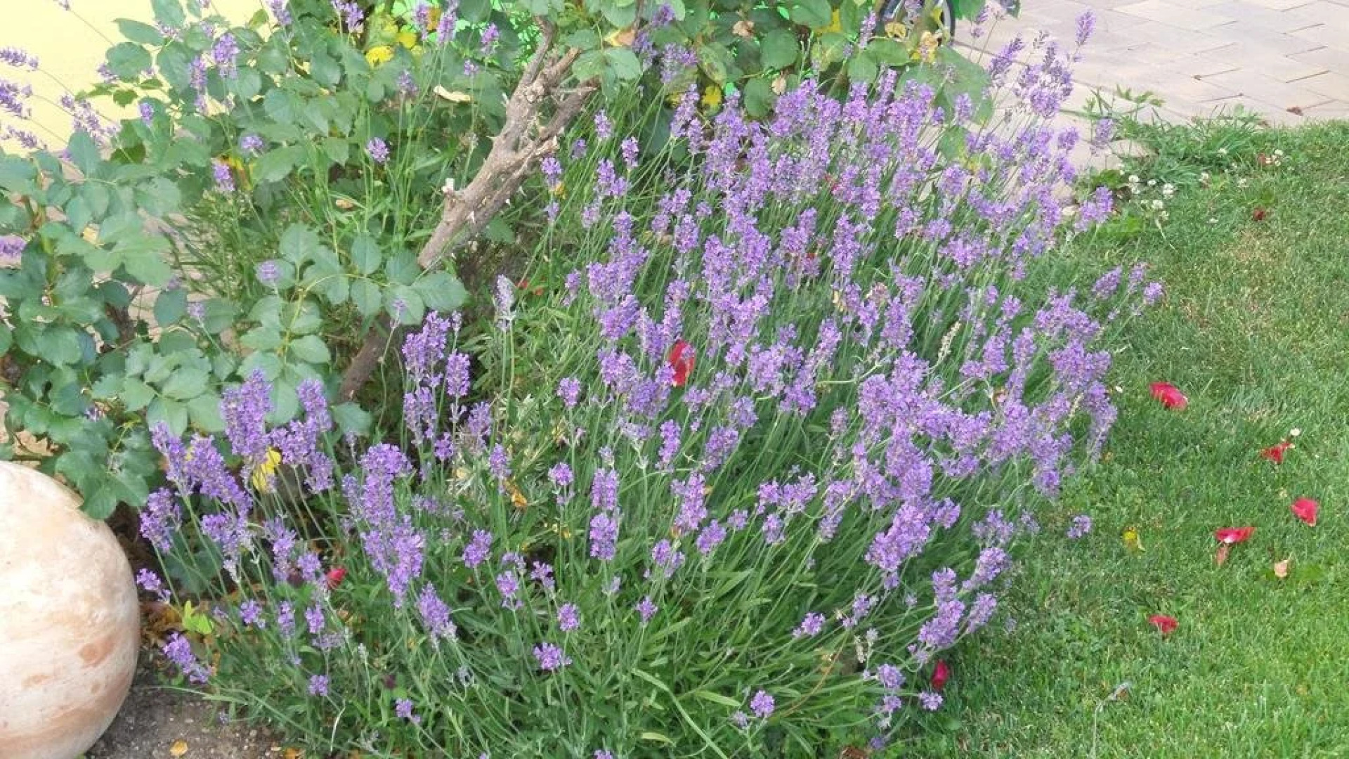 Privatpension Stampfl