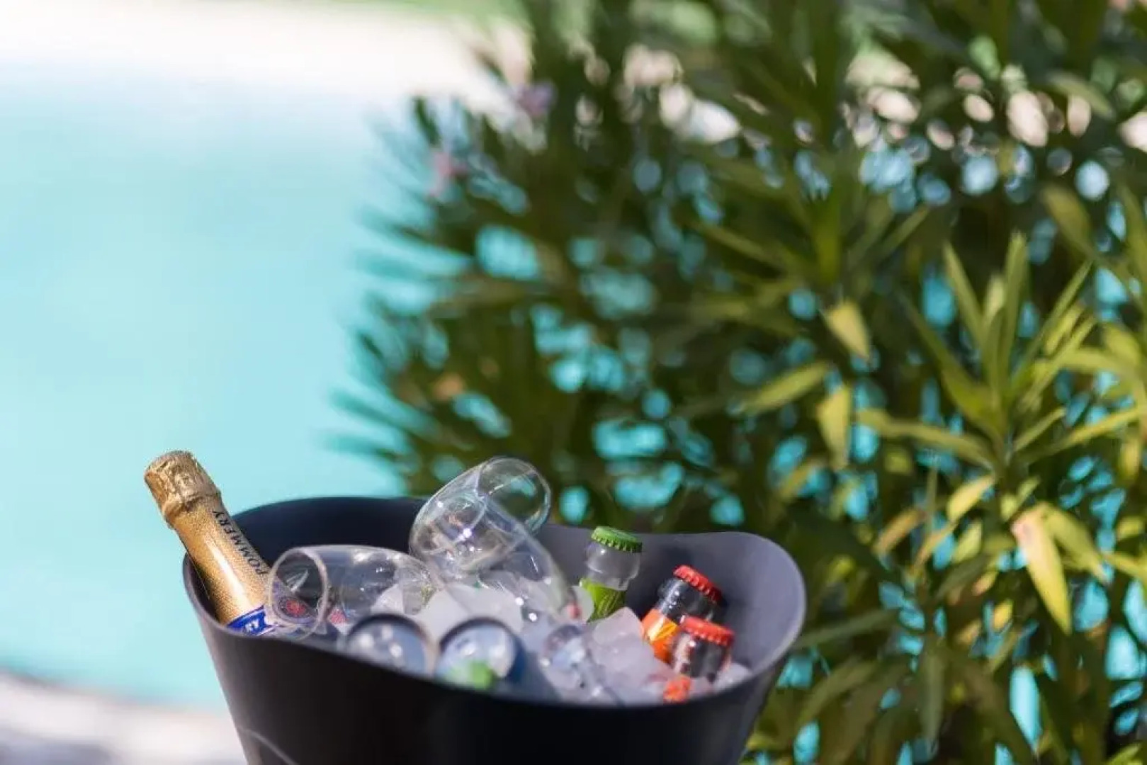 Stiuca Schioapa Baltenii de Sus