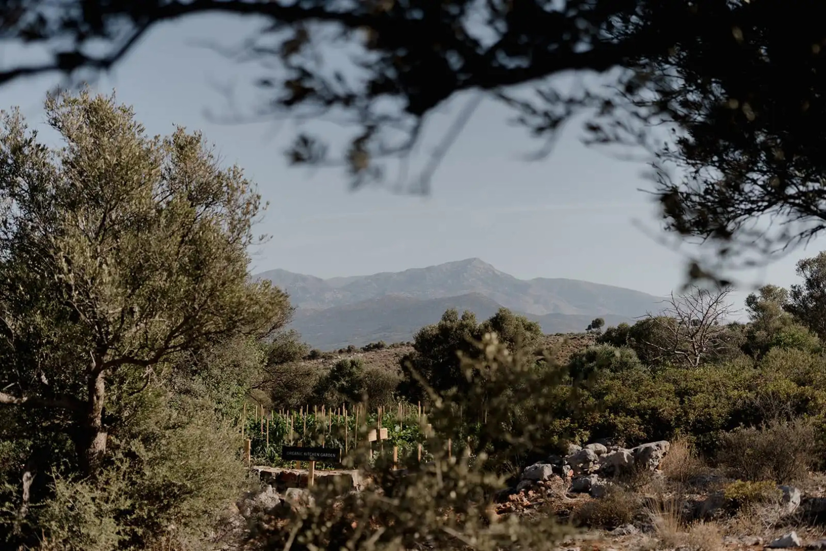 Village Heights Resort