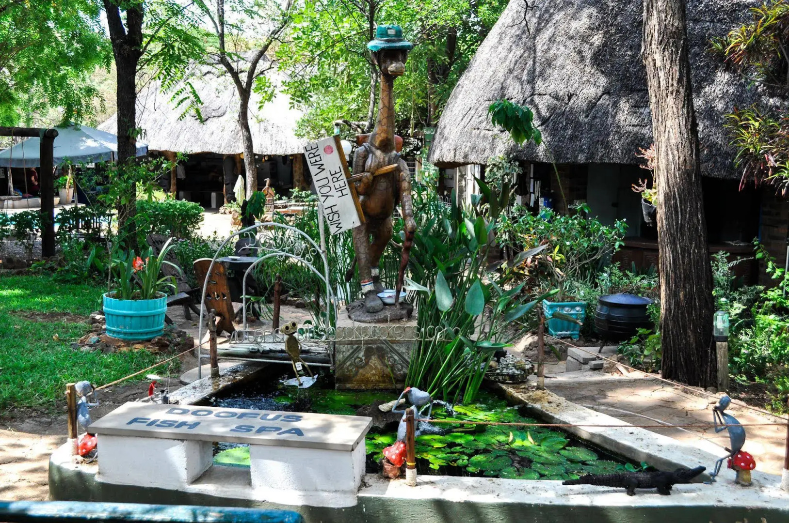 Victoria Falls Backpackers