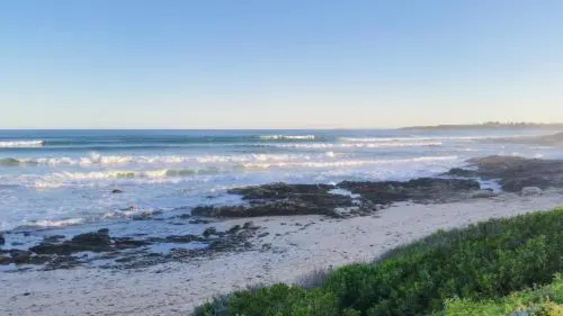 Milly's @ Middleton - Pet-Friendly