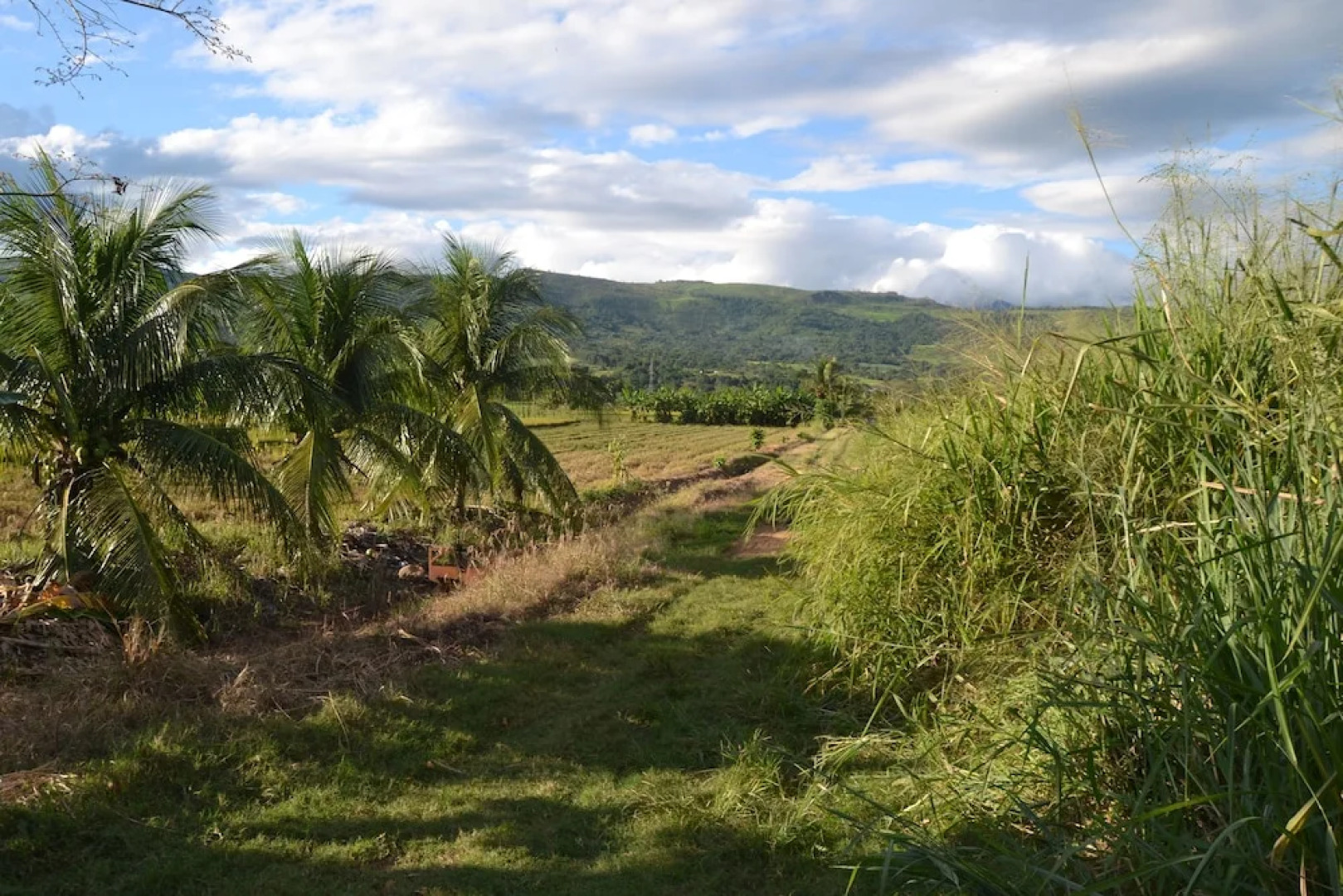 Hotel Suyox Tarapoto