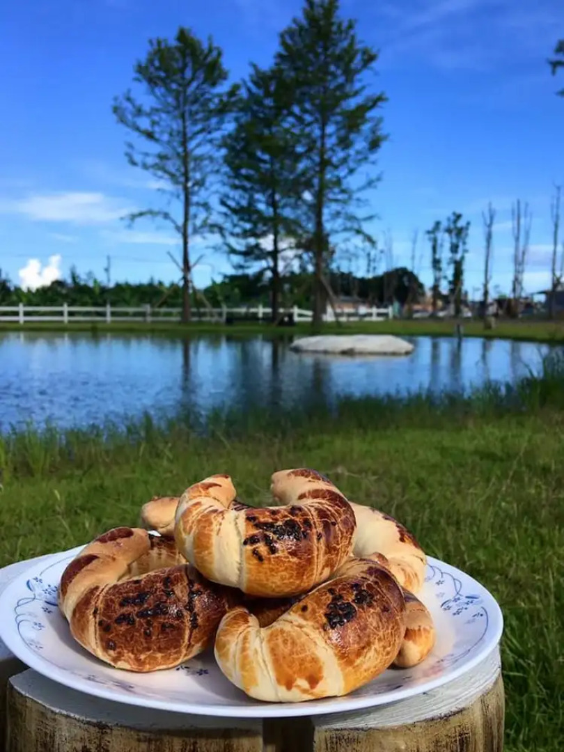 193 County Garden BnB