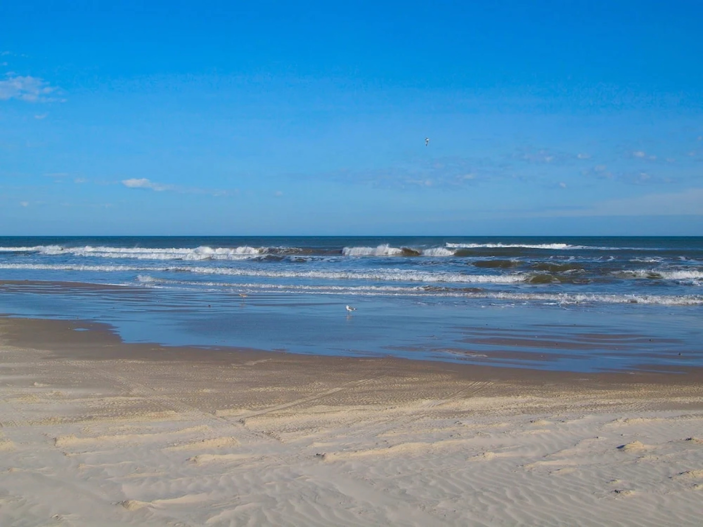 Padre Beach View 229 by RedAwning