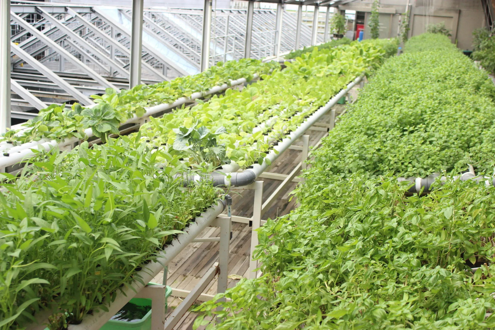 Greenhost Boutique Hotel