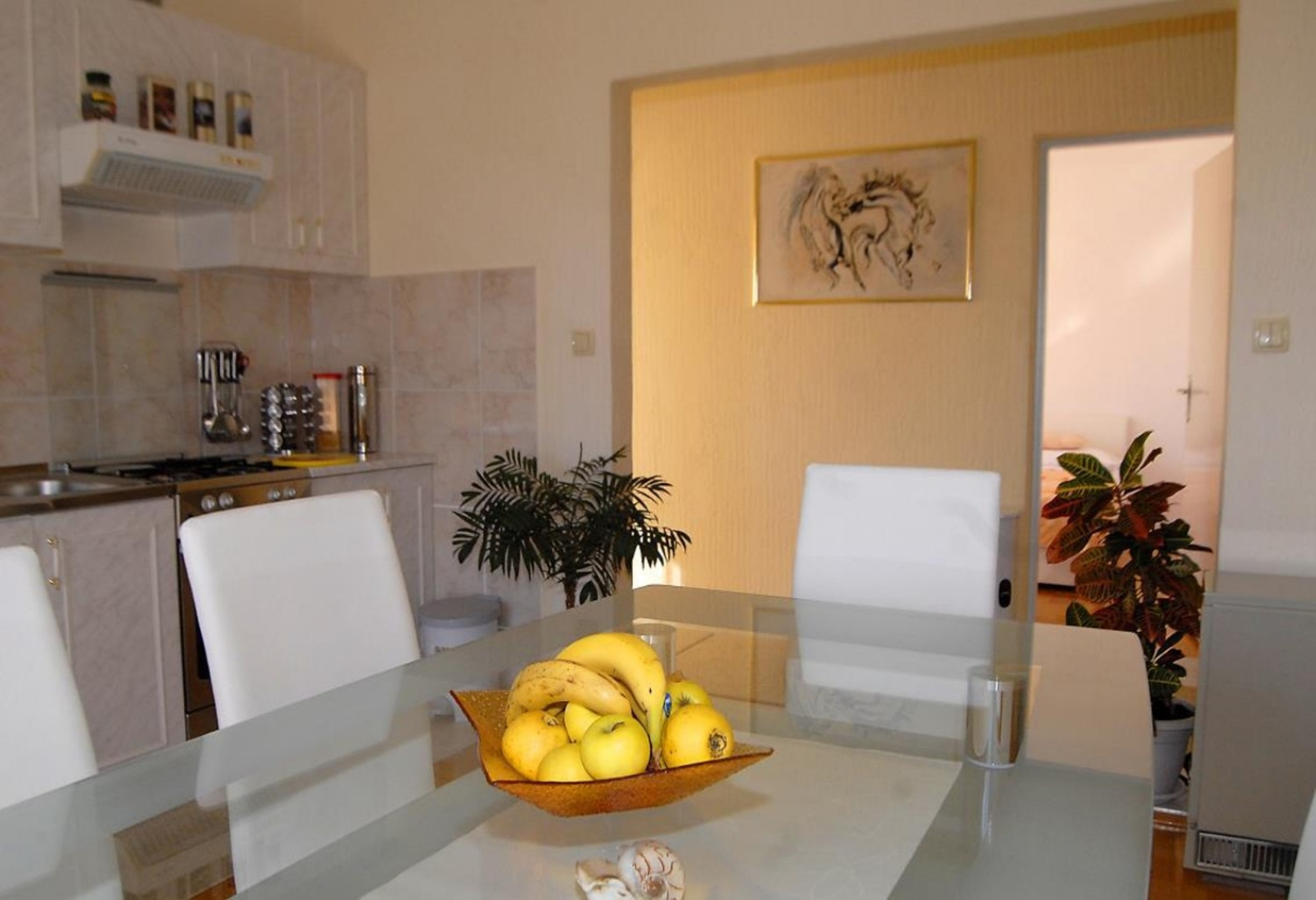 Apartment Ante - with large terrace : A1 Primosten, Riviera Sibenik