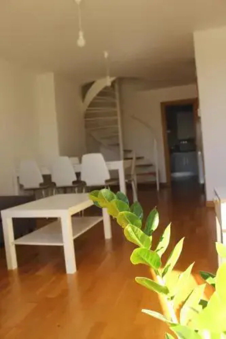 Aloha Apartamentos