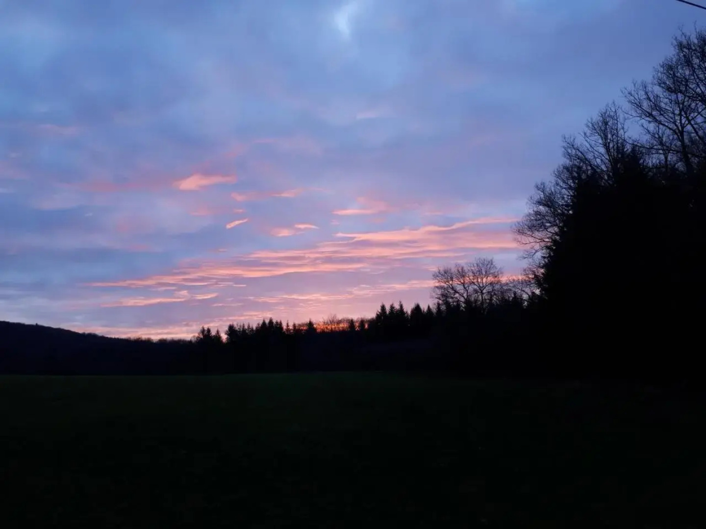 Hébergements Insolites en cabanes