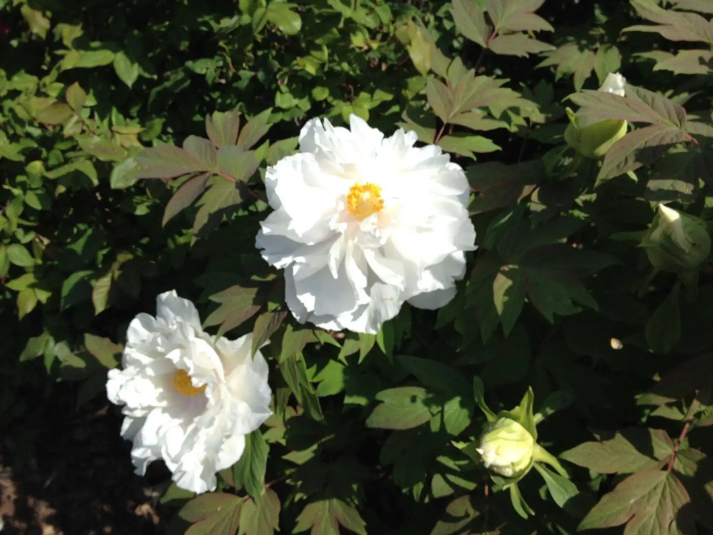 Relais Villa Annamaria