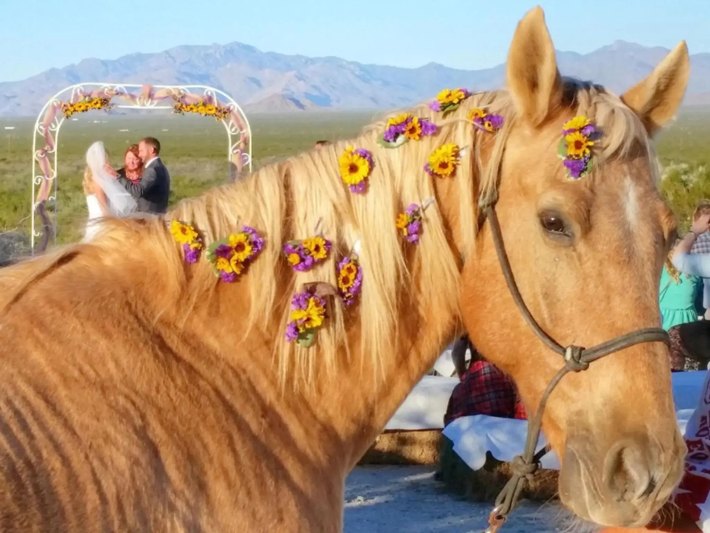 Stagecoach Trails Guest Ranch