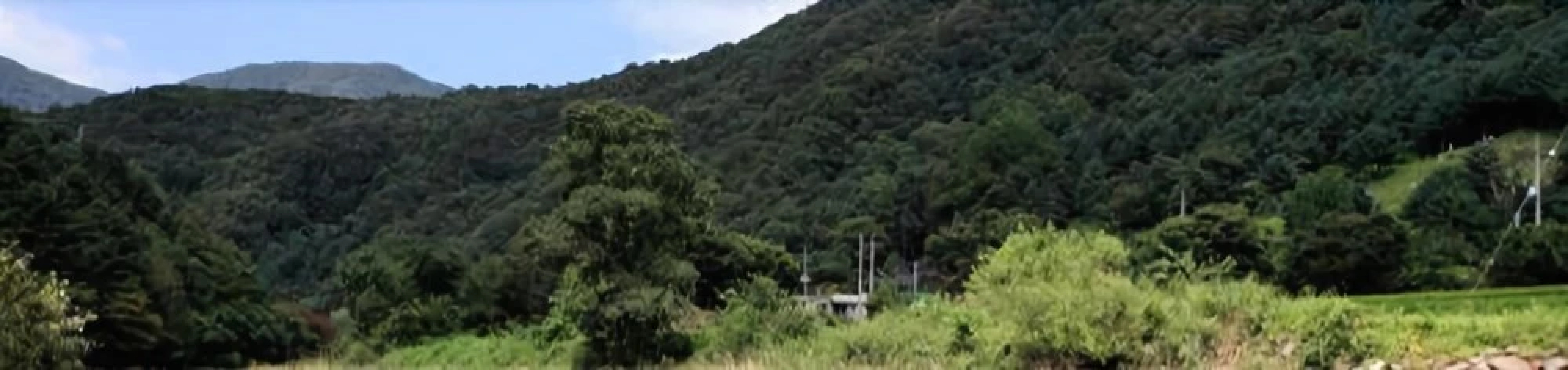 Yangpyeong Evergreen Healing Pension