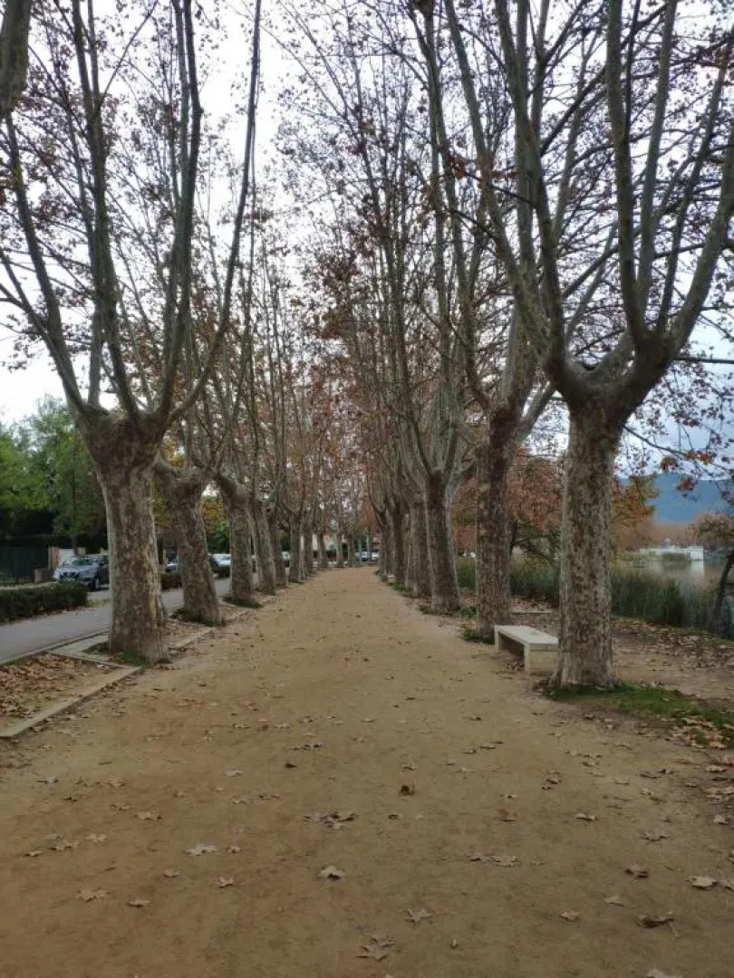 Plaça Major 17 2n 2a Apartament al centre de Banyoles